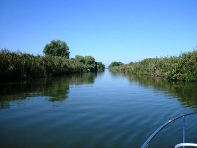 delta rosu 2012 - 391669.jpg